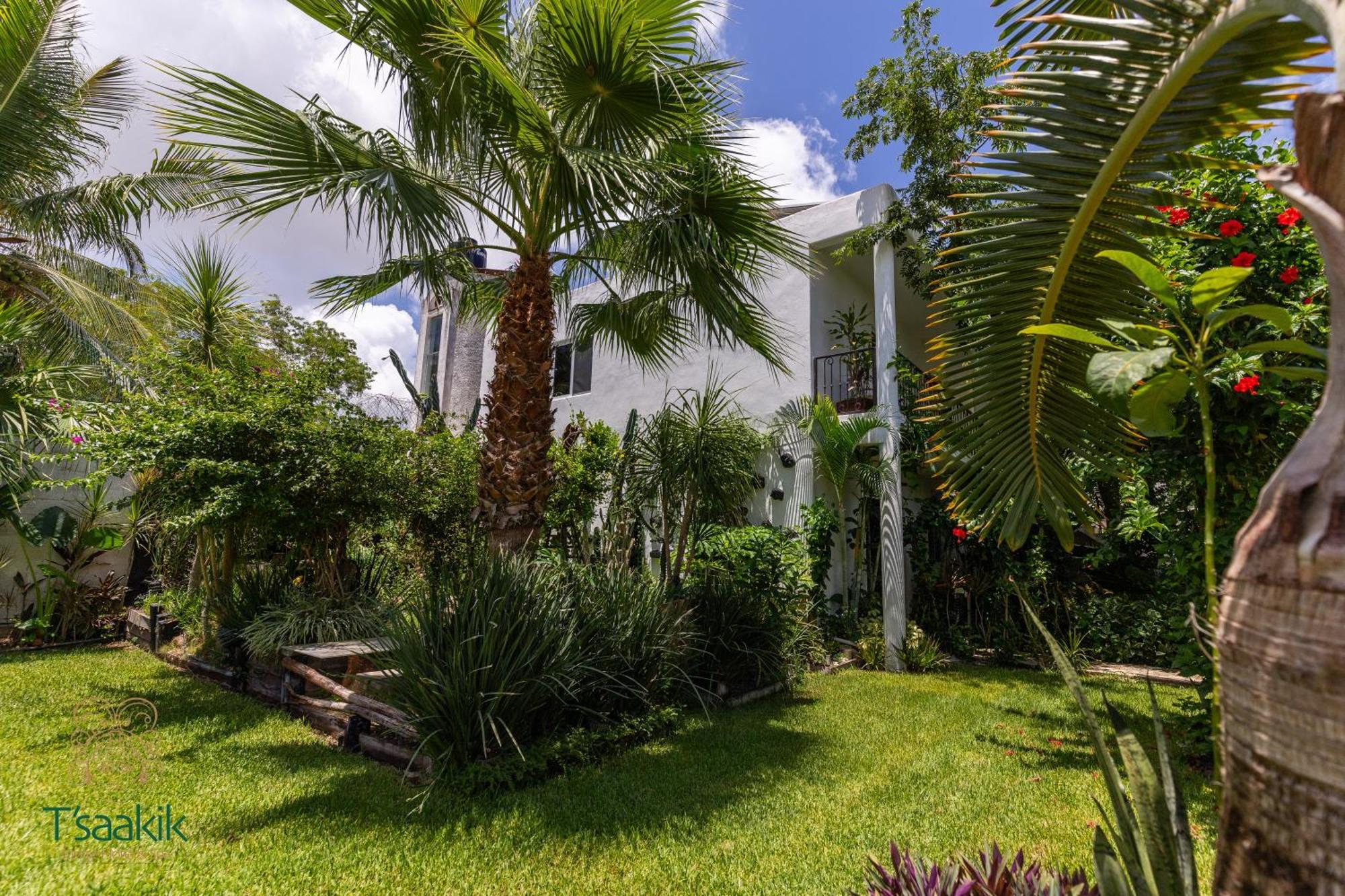 Tsaakik Jungle Hotel & Spa Cancún Exteriér fotografie